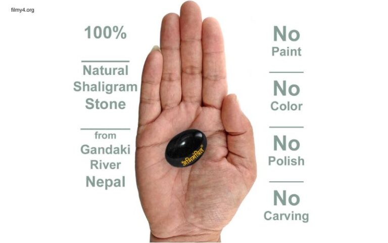 Original Shaligram Stone Price In India